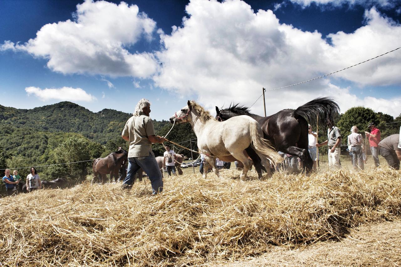 Masseria Monte Pizzi Carovilli Zewnętrze zdjęcie